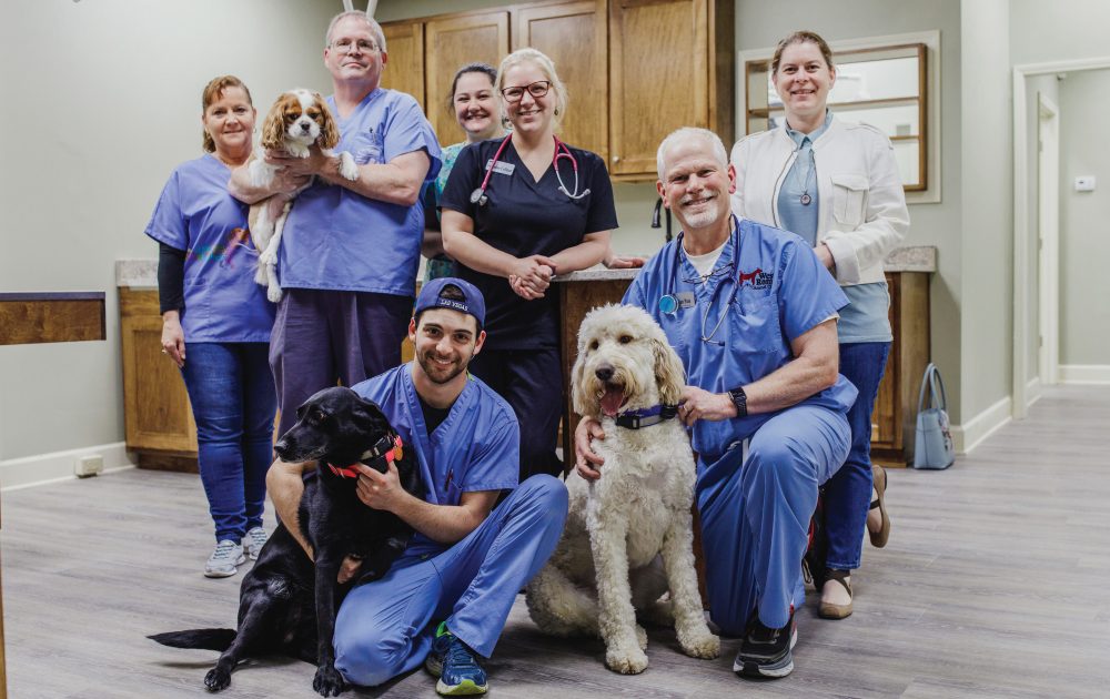 All Night Long: West Rome Animal Clinic