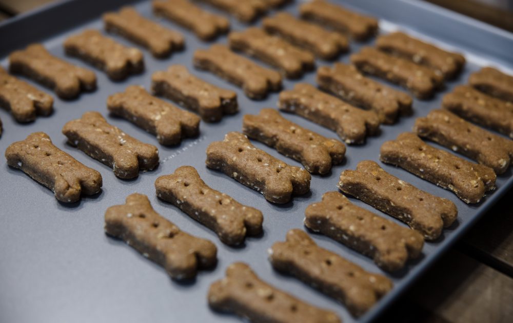 Pet Project – The Sweet Mutt