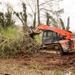 tony's landscape tree service