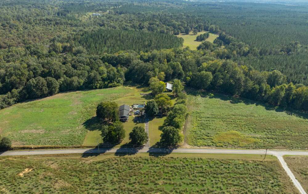 American Auctioneers: A Promising Paradise